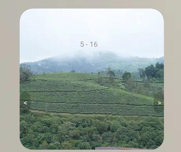 Vagamon Tea County Bed & Breakfast Dış mekan fotoğraf